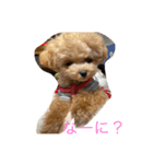 わわの日常1（個別スタンプ：1）