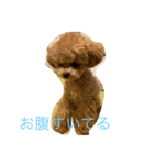 わわの日常1（個別スタンプ：4）