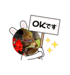 わわの日常1（個別スタンプ：7）