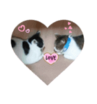 ニャンずLove×2スタンプ（個別スタンプ：1）