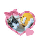 ニャンずLove×2スタンプ（個別スタンプ：4）