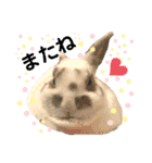 うさぎチビ（個別スタンプ：2）