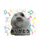 うさぎチビ（個別スタンプ：6）