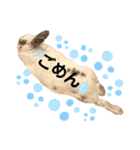 うさぎチビ（個別スタンプ：7）