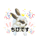 うさぎチビ（個別スタンプ：8）