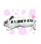 うさぎチビ（個別スタンプ：12）