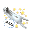 うさぎチビ（個別スタンプ：13）