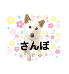 諭吉4（個別スタンプ：7）