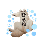 諭吉4（個別スタンプ：9）
