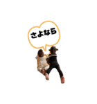 凛太良（個別スタンプ：8）