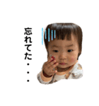1歳になった琴葉のすたんぷ（個別スタンプ：31）