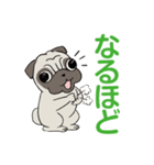 パグパグパグたん2（個別スタンプ：5）
