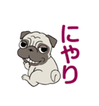 パグパグパグたん2（個別スタンプ：21）