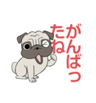 パグパグパグたん2（個別スタンプ：31）