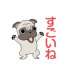 パグパグパグたん2（個別スタンプ：33）