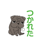 パグパグパグたん2（個別スタンプ：36）