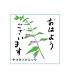 ミチコスタンプ NO13 春の花 その2（個別スタンプ：2）