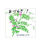 ミチコスタンプ NO13 春の花 その2（個別スタンプ：3）