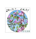 ミチコスタンプ NO13 春の花 その2（個別スタンプ：6）