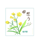 ミチコスタンプ NO13 春の花 その2（個別スタンプ：9）