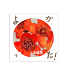 ミチコスタンプ NO13 春の花 その2（個別スタンプ：12）