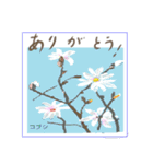 ミチコスタンプ NO13 春の花 その2（個別スタンプ：14）