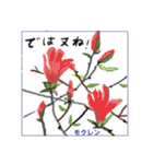 ミチコスタンプ NO13 春の花 その2（個別スタンプ：15）