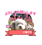 わんこスタンプ春（個別スタンプ：4）
