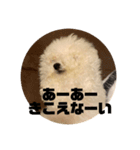 白きビッグベイビー ぷむ太郎（個別スタンプ：11）