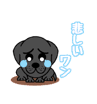動物イラストのスタンプです（個別スタンプ：3）