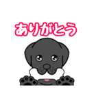 動物イラストのスタンプです（個別スタンプ：6）