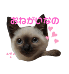 凛ちゃんなの（個別スタンプ：1）