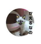 凛ちゃんなの（個別スタンプ：4）