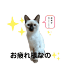 凛ちゃんなの（個別スタンプ：8）