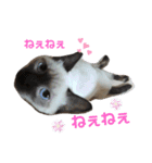 凛ちゃんなの（個別スタンプ：10）