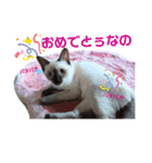 凛ちゃんなの（個別スタンプ：19）
