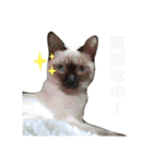 凛ちゃんなの（個別スタンプ：20）