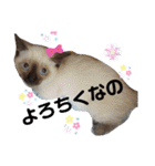 凛ちゃんなの（個別スタンプ：21）