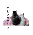 凛ちゃんなの（個別スタンプ：24）