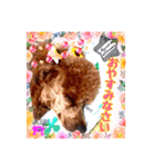 wan wan wan❤︎（個別スタンプ：8）