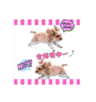 wan wan wan❤︎（個別スタンプ：10）