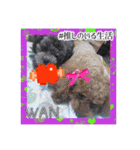 wan wan wan❤︎（個別スタンプ：13）