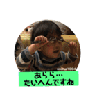 そうまんま4（個別スタンプ：3）