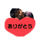 梶山家の日常（個別スタンプ：6）