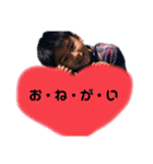 梶山家の日常（個別スタンプ：13）