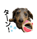 KaninchenDachshund.Uni（個別スタンプ：5）