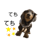 KaninchenDachshund.Uni（個別スタンプ：8）