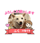 大吉＆福2021.4（個別スタンプ：2）