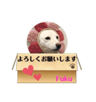 大吉＆福2021.4（個別スタンプ：5）