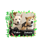 大吉＆福2021.4（個別スタンプ：7）